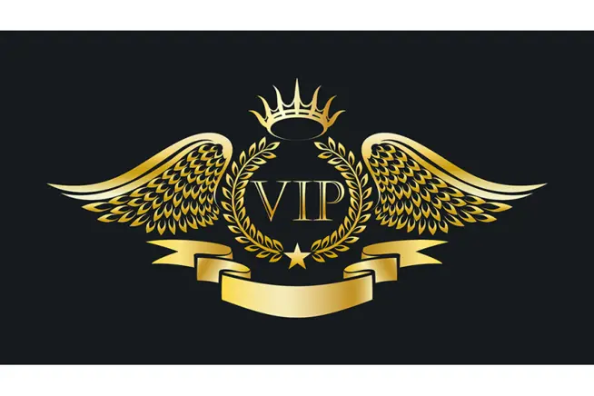 💎 دوره VIP زبانآموزی فرهنگ نوین